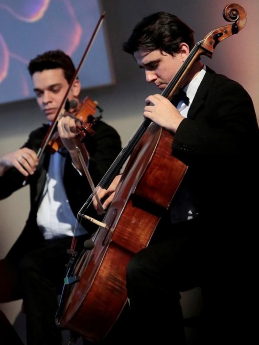 Violoncello e violino